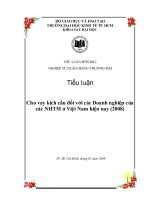 Tiểu Luận: Cho Vay Kích Cầu Đối Với Các Doanh Nghiệp Của Các Nhtm Ở Việt Nam Hiện Nay (2008)