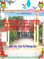 Tập làm văn- tuần 24