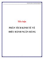 Tiểu Luận: Phân Tích Kinh Tế Về Điều Hành Ngân Hàng