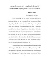 tiểu luận chính sách đoàn kết với dân tộc ít người trong chiến lược đại đoàn kết hồ chí minh