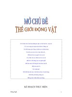 GIAO AN DONG VAT