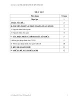 DẠY PHỤ ĐẠO HỌC SINH YẾU MÔN TIẾNG VIỆT
