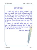 tiểu luận mô học cơ lưu chất