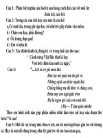 BD HSG TIENG VIET 4- DE 4