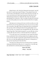 đồ án công nghệ thông tin USB driver trên hệ điều hành Linux Red Hat