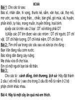 BD HSG TIENG VIET 4- DE 5