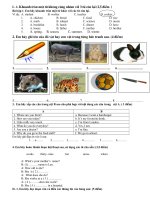 On tap HSG Tieng Anh