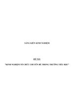 Sáng kiến kinh nghiệm tổ chức chuyên đề trong Trường Tiểu học A Khánh Bình Tây