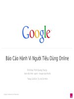Báo Cáo Hành Vi Người Tiêu Dùng Online