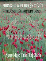 Luyện từ và câu tuần 24