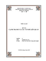 TIỂU LUẬN CẠNH TRANH VÀ CÁC VẤN ĐỀ LIÊN QUAN