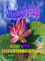 T58-VAI TRÒ CỦA THỰC VẬT ĐỐI VỚI ĐV VÀ ĐỐI VỚI  CON NGƯỜI (Thi GVGT)