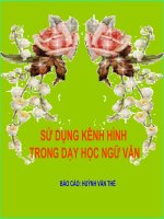 Sử dụng kênh hình trong dạy học Ngữ văn