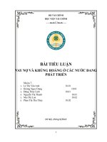 Vay nợ và khủng hoảng ở các nước đang phát triển
