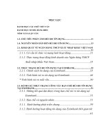 Luận văn thạc sỹ - Hạn chế rủi ro tín dụng tại Ngân hàng thương mại cổ phần Xuất nhập khẩu Việt Nam