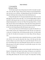 SÁNG KIẾN KINH N GHIỆM: Một số kinh nghiệm giúp học sinh giữ vở sạch  viết chữ đẹp