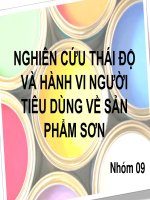 NGHIÊN CỨU THÁI ĐỘ VÀ HÀNH VI NGƢỜI TIÊU DÙNG VỀ SẢN PHẨM SƠN