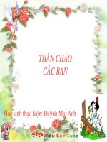 TẬP ĐỌC BÀI NGƯỜI MẸ