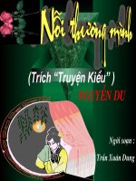 Nỗi thương mình (Trích Truyện Kiều-Nguyễn Du)