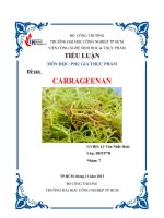 TIỂU LUẬN MÔN HỌC PHỤ GIA THỰC PHẨM CARRAGEENAN