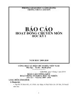 BÁO CÁO SƠ KẾT TỔ HKI