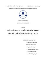 tiểu luận môn học kinh doanh đối ngoại phân tích các nhân tố tác động đến tỷ giá hối đoái ở VIỆT NAM
