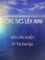 Cnghệ 8. Tiết 46: Đặc điểm và cấu tạo của mạng điện trong nhà