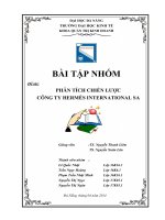 bài tập nhóm chủ đề phân tích chiến lược  cảu công ty HERMÈS INTERNATIONAL SA