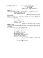 Đề+ĐA  thi Văn vào 10 Bến Tre 2007