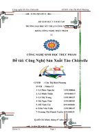 công nghệ sinh học thực phẩm Đề tài Công Nghệ Sản Xuất Tảo Chlorella