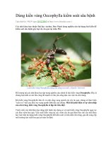 Sử dụng kiến vàng kiểm soát sâu bệnh