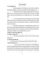 sáng kiến kinh nghiệm về bài toán ném ngang