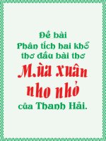 PHÂN TÍCH HAI KHỔ THƠ ĐẦU TRONG BÀI 