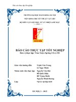 báo cáo thực tập tốt nghiệp tại công ty vina taiyo spring CO ,LTD