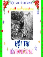 Mot So Hinh Anh Ve Bac Ho