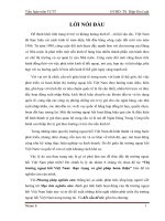 Tiểu luận môn tài chính tiền tệ Thị trường ngoại hối Việt Nam thực trạng và giải pháp hoàn thiện