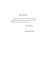 Luận văn thạc sỹ: Một số giải pháp về đào tạo nghề nhằm đáp ứng yêu cầu chuyển dịch cơ cấu kinh tế trên địa bàn huyện Định Quán- tỉnh Đồng Nai