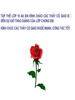 ON TAP CHUONG  III THI GVG TINH NAM DINH