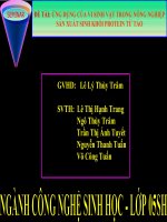 ỨNG DỤNG CỦA VI SINH VẬT TRONG NÔNG NGHIỆPSẢN XUẤT SINH KHỐI PROTEIN TỪ TẢO