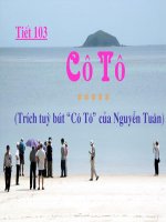 Tiết 103- Văn bản Cô Tô