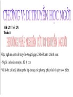 giáo án hội giảng tiết 25