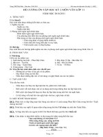 Đề cương ôn thi HK2 môn Văn - Lớp 11 năm 2010-2011