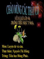 LTVC Chủ ngữ trong câu kể Ai là gì