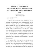 SKKN van cap huyen hay