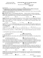 ĐỀ THI THỬ ĐẠI HỌC LẦN 1(THPT ĐỨC THỌ)