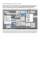 Hướng dẫn sử dụng Photoshop CS5 - Phần 2  Các Panel