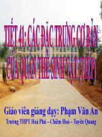 Tiết 41 - CÁC ĐẶC TRƯNG CƠ BẢN CỦA QUẦN THỂ SINH VẬT (TIẾP)