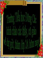 tap doc l2: Tom Cang va Ca Con