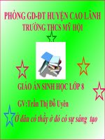 Tiết 11. Tiến hoá hệ vận động