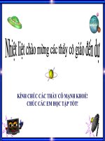 THHT bài giảng chất lượng cao 2010-2011